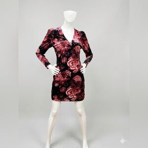 NWT Express Velvet Long Sleeve Dress